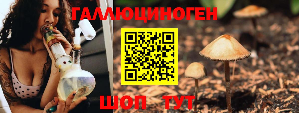 Псилоцибиновые грибы GOLDEN TEACHER Тамбов